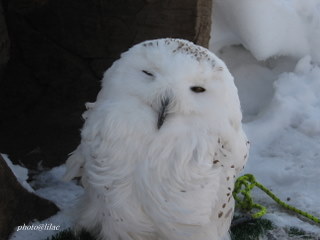 20100309-05.JPG