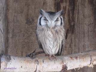 20100319-00.JPG