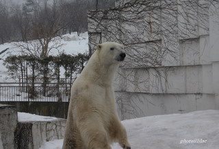 20100323-00.JPG