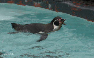 20100323-01.JPG