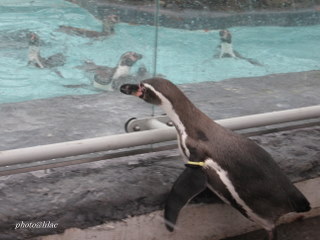 20100323-02.JPG