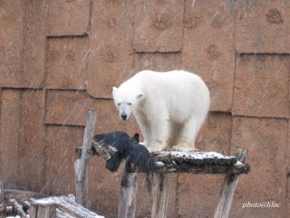 20100325-00.JPG