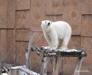 20100325-01.JPG