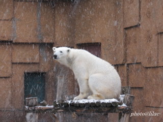 20100326-00.JPG