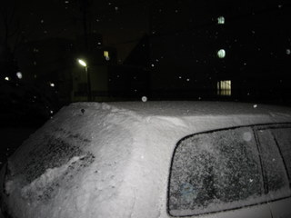 20100328-00.JPG