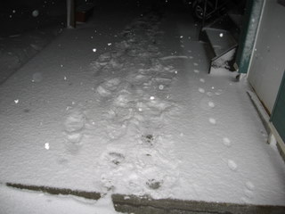 20100328-01.JPG