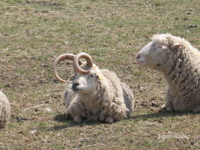 20100507-00.JPG