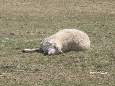 20100507-01.JPG