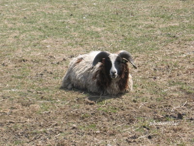 20100507-02.JPG