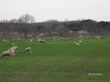 20100512-00.JPG