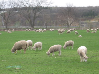 20100512-01.JPG
