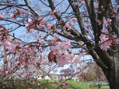 20100515-01.JPG