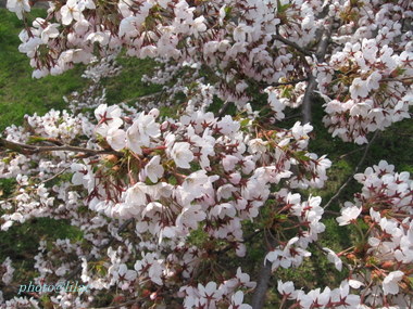 20100518-00.JPG