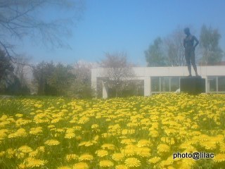 20100523-00.jpg