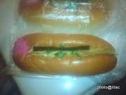 20100523-03.jpg
