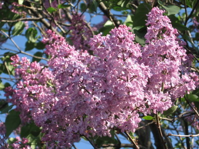 20100608-00.JPG