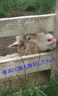 20100723-01.JPG