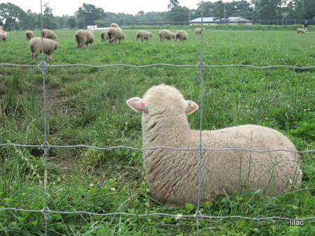 20100731-00.JPG