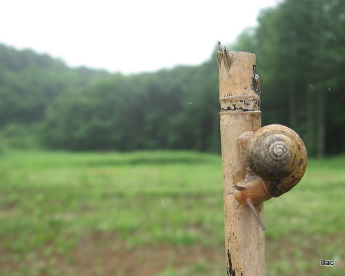 20100805-00.JPG