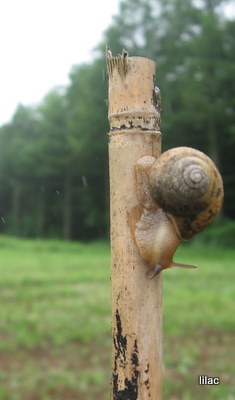 20100817-00.JPG