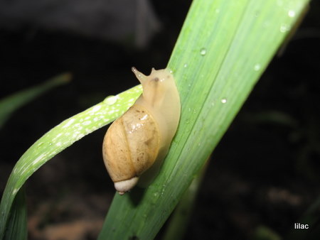 20100821-00.JPG