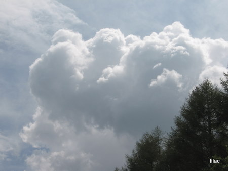 20100823-00.JPG
