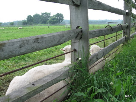 20100829-00.JPG