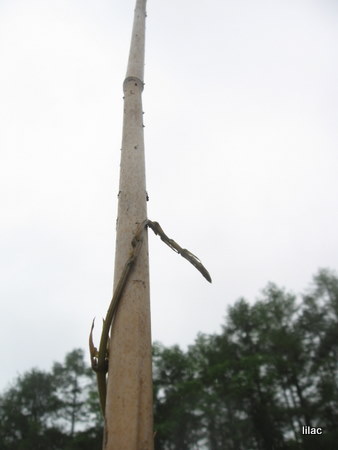 20100830-00.JPG