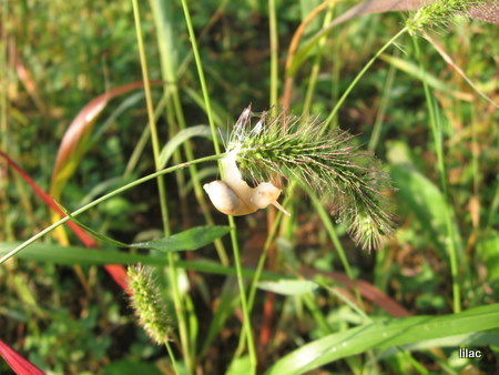 20100919-00.JPG