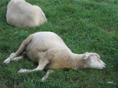20100921-00.JPG