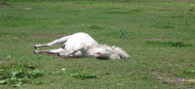 20100922-00.JPG