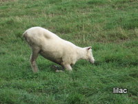 20100923-00.JPG