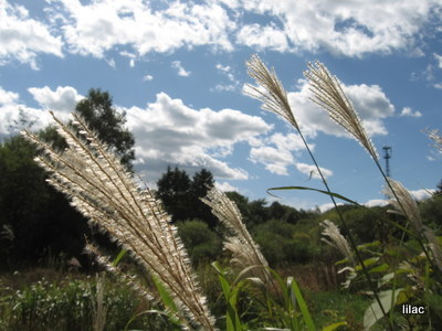 20100927-00.JPG