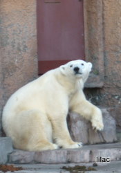 20100929-00.JPG