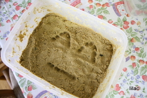 20101108-00.JPG