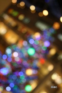 20101123-01.JPG