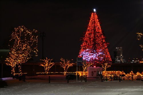 20101203-01.JPG