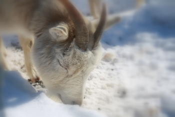 20110127-01.JPG