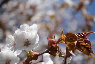 20110516-00.JPG