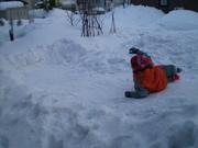 20080221-01.jpg