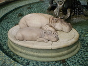 20080418-01.jpg
