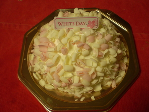 20090314-00.jpg