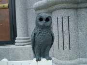 20090808-07.jpg