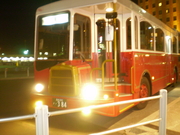 20090808-10.jpg
