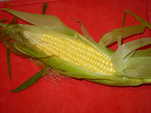 20090929-00.jpg