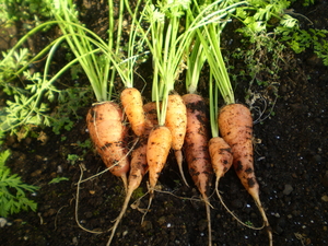 20091109-00.jpg