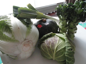 20101126-04.JPG