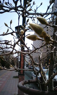 110410_1058~0002.jpg