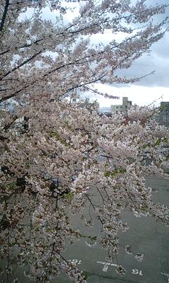 110508_1206~0002.jpg