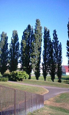 110813_0623~0001.jpg